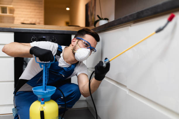 Best Emergency Pest Control  in Mount Gay Shamrock, WV