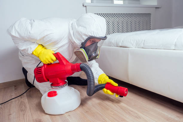 Best Termite Control Services  in Mount Gay Shamrock, WV