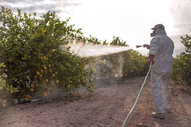 Best Commercial Pest Control Services  in Mount Gay Shamrock, WV