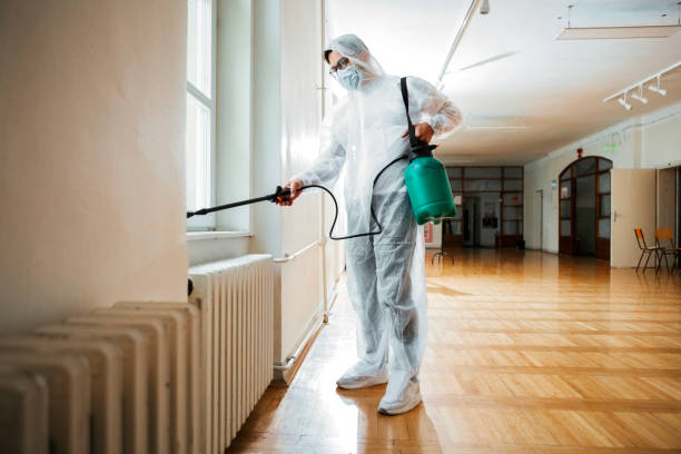 Best Best Pest Control Companies  in Mount Gay Shamrock, WV