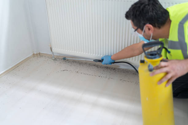 Best Local Pest Control Services  in Mount Gay Shamrock, WV