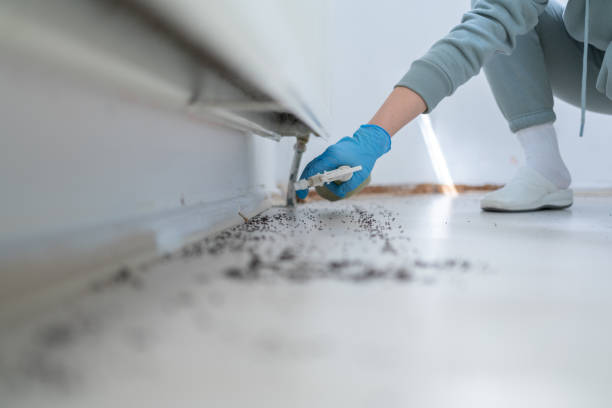 Pest Control Cost in Mount Gay Shamrock, WV